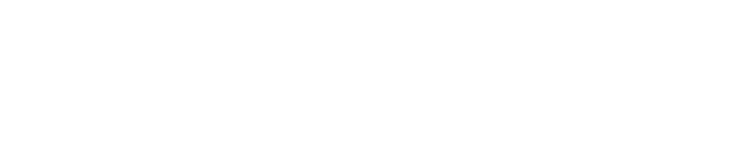 OnlineToGo